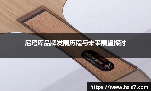 尼塔库品牌发展历程与未来展望探讨