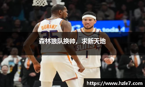 森林狼队换帅，求新天地